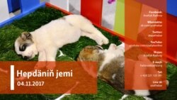 Hepdäniň jemi – 04.11.2017.