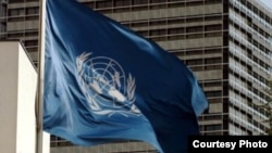 Иллюстративное фото. Флаг ООН. 