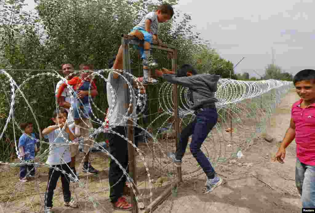 Serbiya sərhəddini aşıb Macarıstana daxil olmağa çalışan suriyalı miqrantlar. REUTERS/Laszlo Balogh TPX IMAGES OF THE DAY