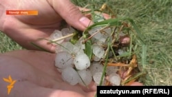 Armenia -- A man in Marmashen village shows the damage caused by hail an wind. 5July, 2016