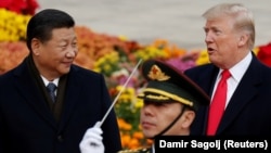 Президент США Дональд Трамп с председателем КНР Си Цзиньпинем в Пекине. 9 ноября 2017