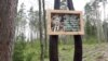 Побач з Горадняй пасадзілі лес імя Васіля Быкава
