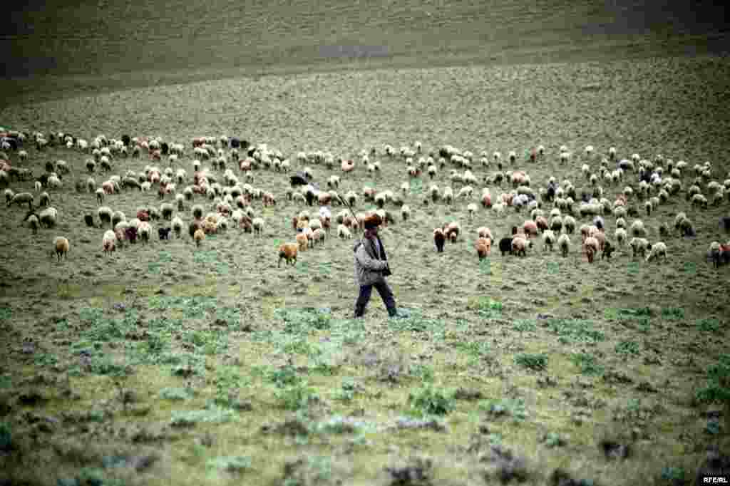 A Spring Passage Through The Caucasus #22