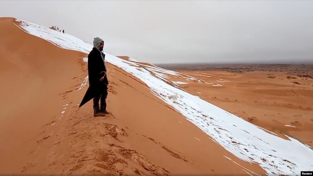 Saxara səhrasına qar yağıb. 7 yanvar 2018