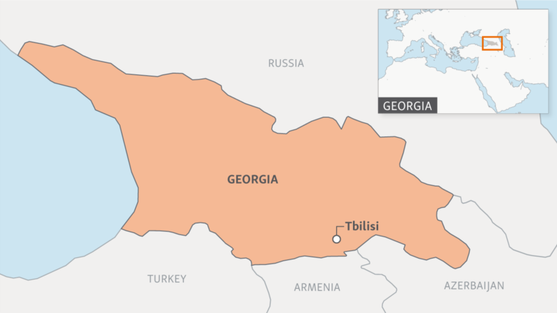 В Грузии задержаны пять сообщников Чатаева