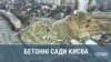 Бетонні сади Києва (розслідування)
