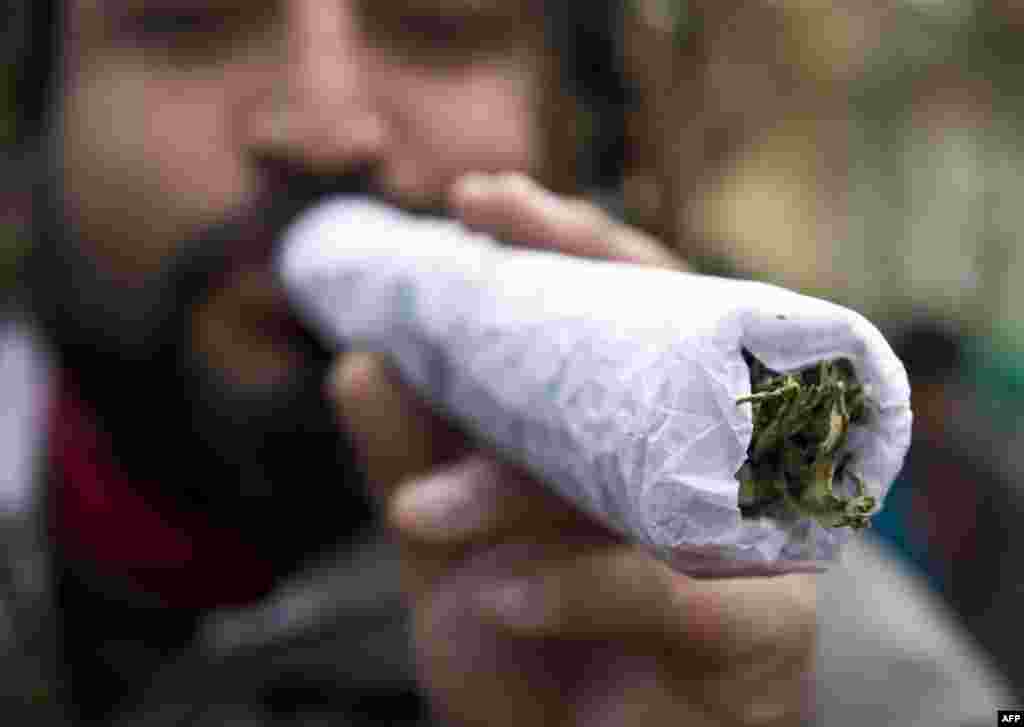 A participant holds a giant joint at a rally for legalization of cannabis in Santiago, Chile as part of 2013 Global Marijuana March. (AFP/Martin Bernetti)