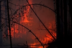 Лісові пожежі у Овруцькому район Житомирщини. Фото Віталія Ющкевича. 16 квітня 2020 року