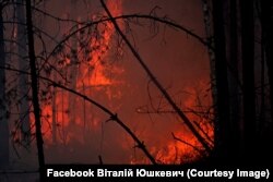 Лісові пожежі у Овруцькому район Житомирщини. Фото Віталія Ющкевича. 16 квітня 2020 року