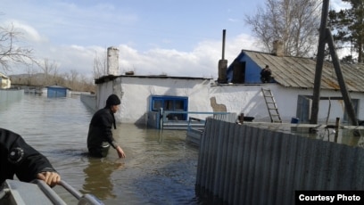Қыз конпермен жабылған құлпынай жейді Әдемі қынап суреті