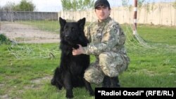 Tajikistan -- Greys - war dog and its trainer Mahmadrahim Azimov, Dushanbe, 12Apr2012 