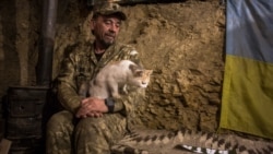Український військовий у бліндажі з котиком. Луганська область, травень 2016 року