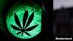 Стикер со лист од канабис на зелено светло од семафор како симбол за легализација на билката.