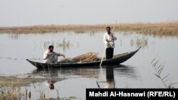 Iraq – marshes, Dhi Qar province, undated 