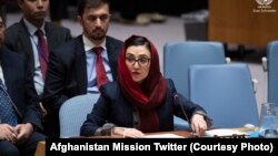عادله راز، نماینده دایمی افغانستان در سازمان ملل