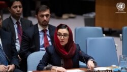عادله راز نماینده دایمی افغانستان در سازمان ملل متحد