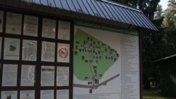 Карта Левашовского кладбища