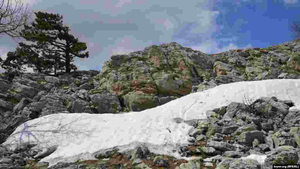 Даже в мае кое-где в балках на плато Ай-Петри лежит снег