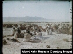 აქლემების მწყემსები სამხრეთ ავღანეთში.