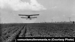 Agricultură în Bărăgan, anii 1980. Sursa: comunismulinromania.ro (MNIR)