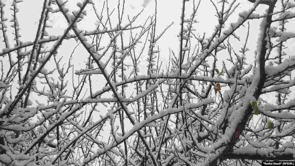 Барфи аввал дар шаҳри Бохтар, 8 декабри соли 2020