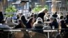 Sweden -- People enjoy the sun at an outdoor restaurant