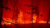 The fires began on April 3. 