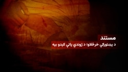 د پښتورګو پلور، د ژوندي پاته کېدو بیه