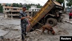 Un membru al forțelor de securitate și câinele său caută supraviețuitori în urma inundațiilor devastatoare din Trishuli, Nepal.