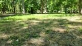 Потрескавшаяся от засухи почва в Гагаринском парке Симферополя – май 2025 года 