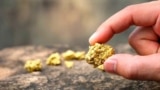 Золотая руда в Узбекистане