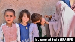آرشیف - تطبیق واکسین ضد فلج کودکان در ولایت قندهار
