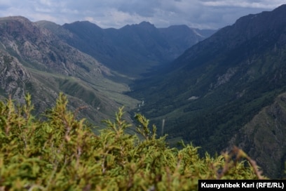 Бикинидегі қисық қыздар