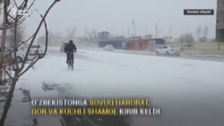 Ўзбекистонга совуқ ҳарорат, қор ва кучли шамол кириб келди