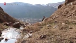 شکار غیرقانونی در افغانستان