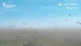 These Swarms Of Locusts On Eurasia's Steppe Are Incredible
