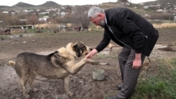 Արյունոտ ռինգեր. օրենսդրության և իրականության բախումը