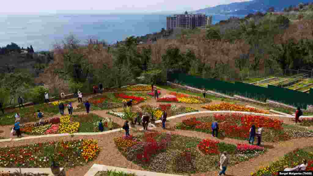 Каждый год на территории сада проводят бал хризантем, выставки тюльпанов, роз, ирисов, лилейников и клематисов