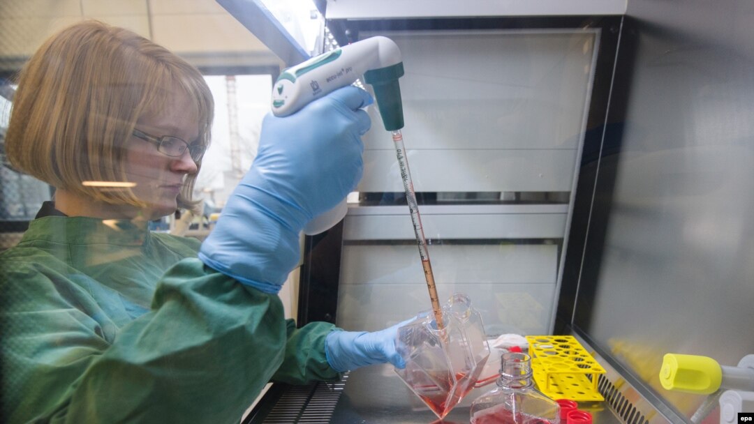 Laboratory employeecultivates cells infected with the Zika virus at the laboratory of the company Euroimmun in Germany on February 5, 2016.