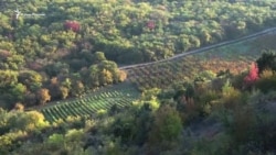 «Рассчитывать на хороший урожай нет смысла» – крымский фермер (видео)