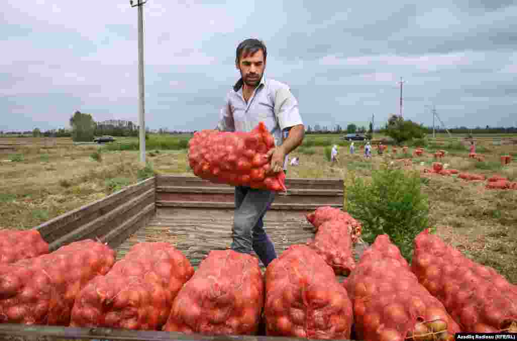 Yağışlar başlamamış sahədəki işləri bitirmək lazımdır ki, iş çətinə düşməsin. 