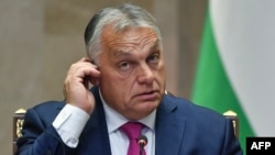 Premierul maghiar Viktor Orbán a discutat telefonic cu președintele rus Vladimir Putin, după ce la începutul săptămânii s-a întâlnit cu președintele ales al SUA, Donald Trump. 