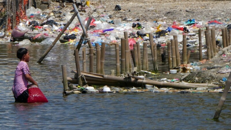 Захлебнувшиеся пластиком: как мусор уничтожает Мировой океан
