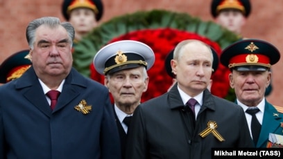 Гномдар бейнеленген порно және бейнелер