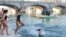 ITALY -- People called "Orsi Polari" (Polar Bears) dive into the icy waters of the Po river  in Turin