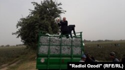 Хатлонская область. 2017 год