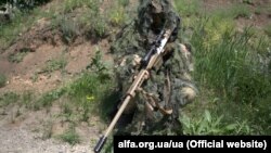 عکس جنبه تزئینی دارد/آرشیف