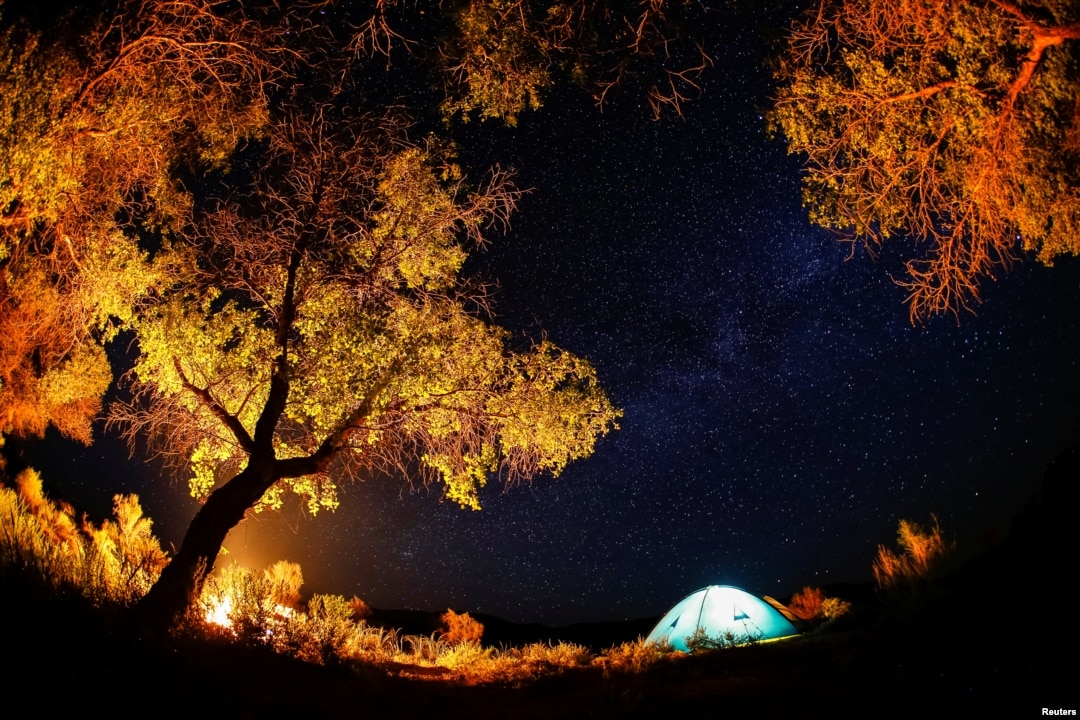 Көрпенің астына сорыңыз