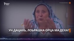 Ун дацахь, лоьрашка орца ма деха?