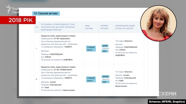 Елена Соболевская, декларация